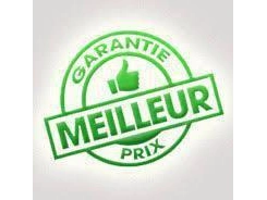 Cfmoto Génératrice Génératrice Inverter Cfmoto - Lh45i-e - 4500w - No 2024 alt