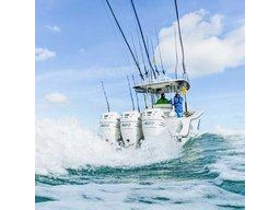 2026 Mercury 250xl Verado 250hp Verado 25" Remote alt