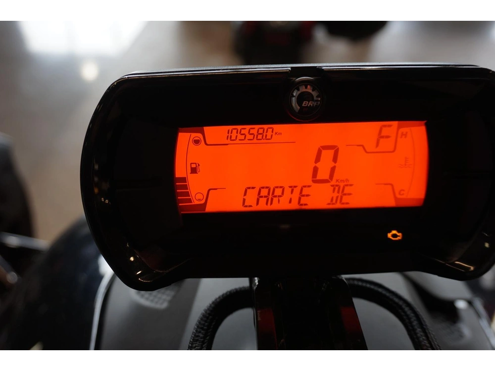 Can-am Ryker Rallye 900 Ace 2021 alt