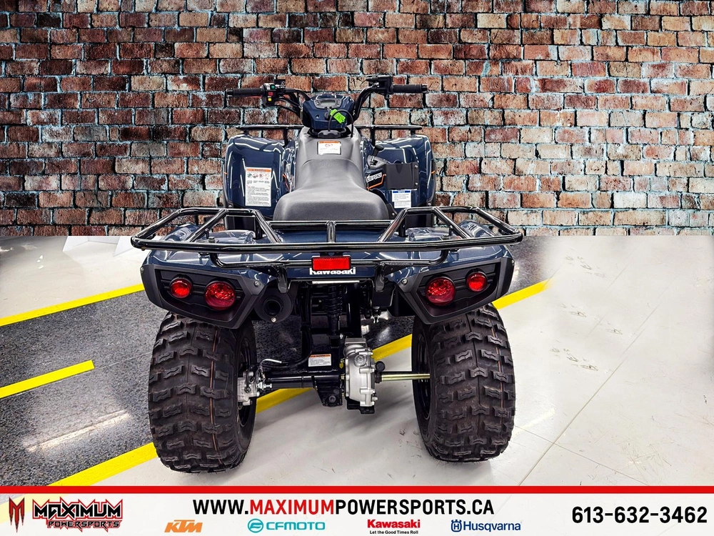 Kawasaki Brute Force 300 2025 alt