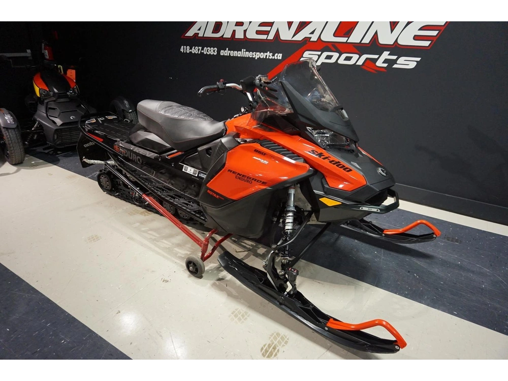 Ski-doo Renegade Enduro 850 2019 alt