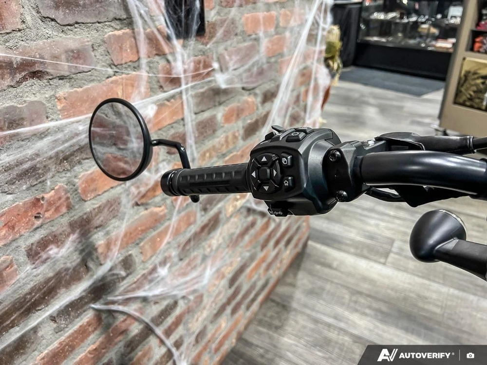 2025 Harley-davidson Rh975s - Nightster® Special alt