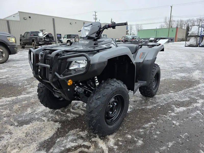 2026 Honda Rubicon 520 IRS EPS