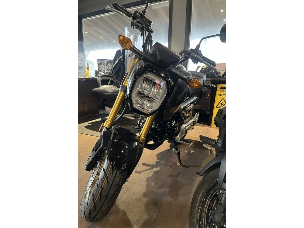 2024 Honda Msx 125 R alt