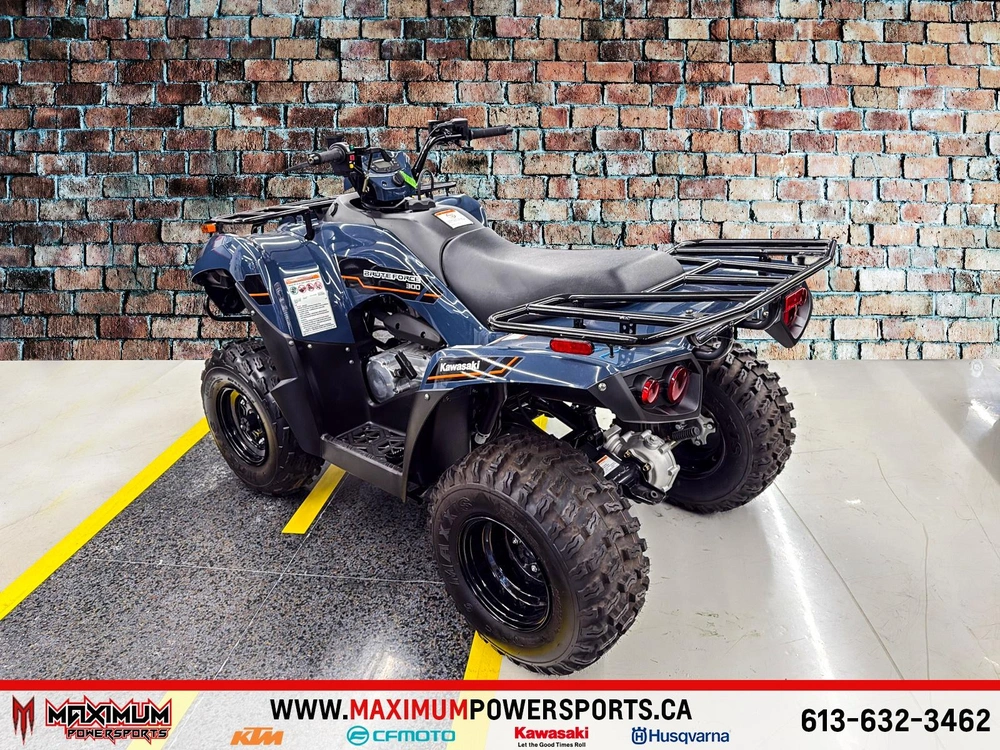 Kawasaki Brute Force 300 2025 alt