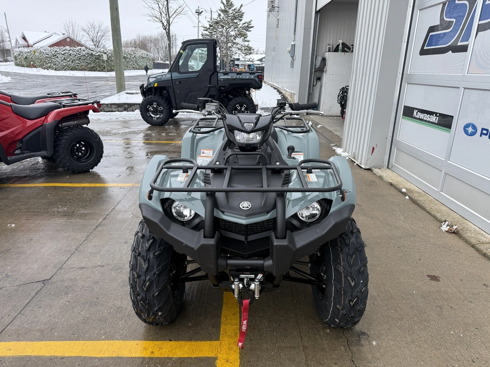 Yamaha Kodiak 450 Eps Xt-r 2026 alt