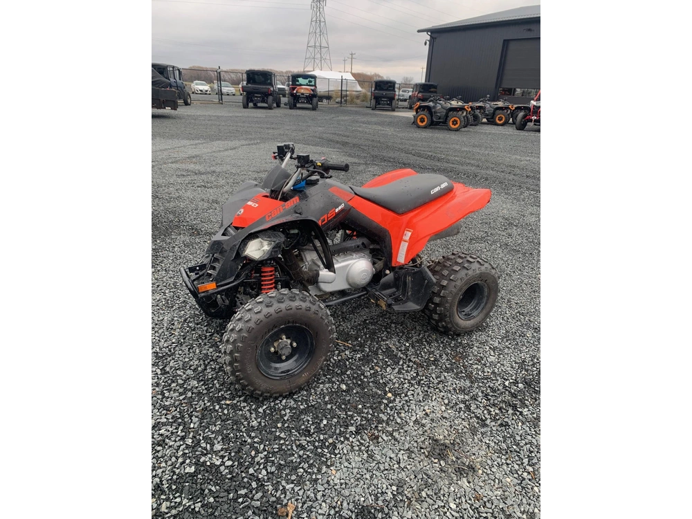 2021 Can-am Ds250 alt