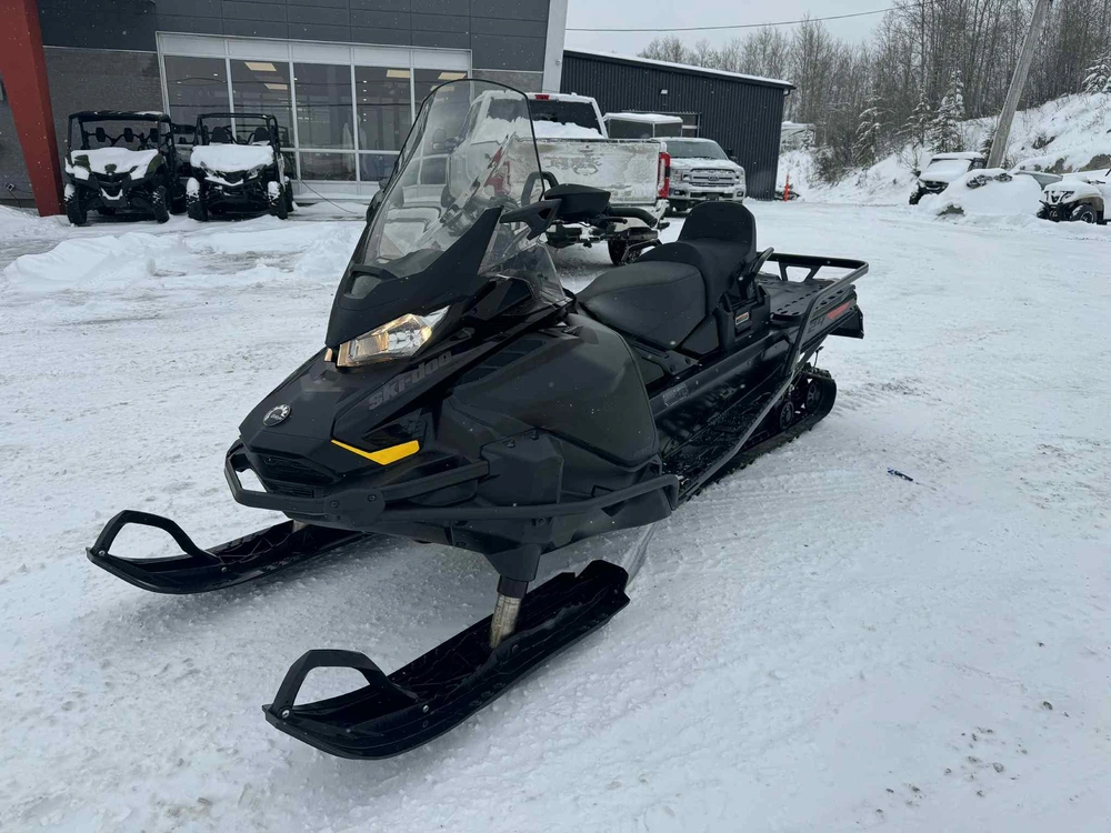 Ski-doo Skandic Le 900 Ace 2023 alt