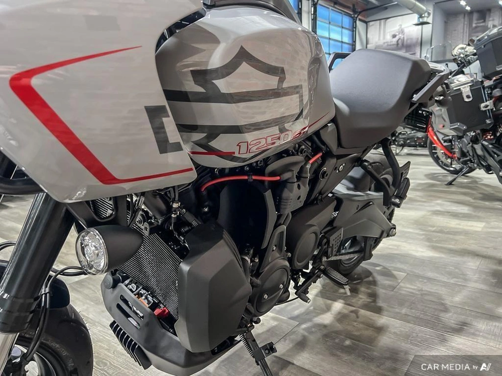2025 Harley-davidson Ra1250st - Pan America® 1250 St alt