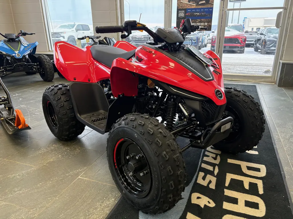 2026 CFMOTO Cforce 110 Classic