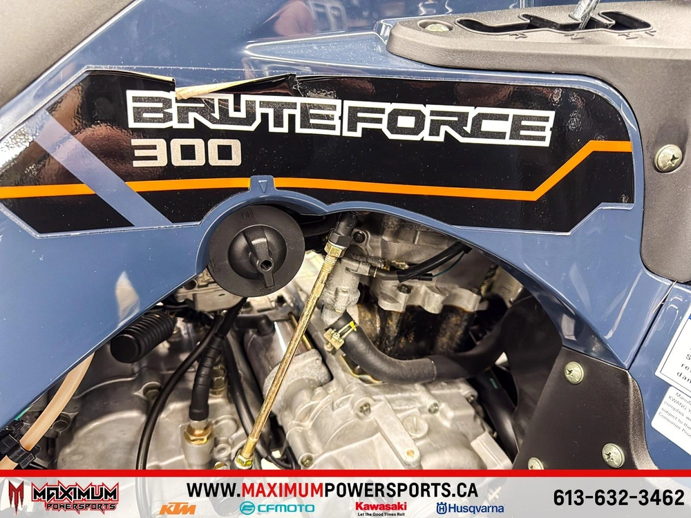 Kawasaki Brute Force 300 2025 alt