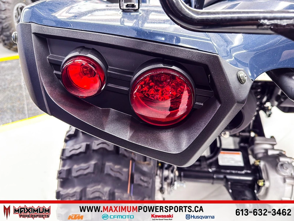 Kawasaki Brute Force 300 2025 alt