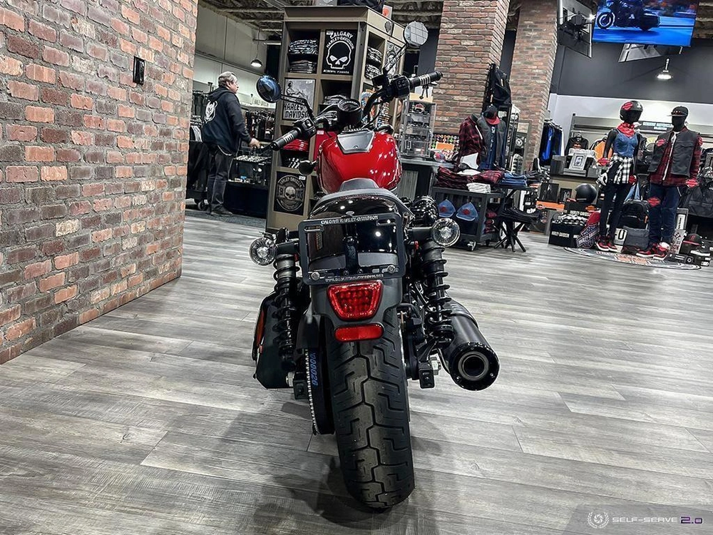 2023 Harley-davidson Rh975 Nightster alt