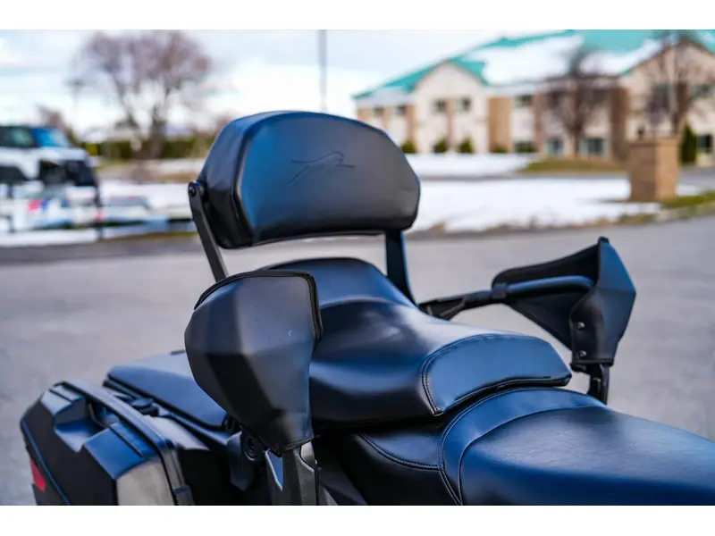 2026 Arctic Cat Panterra 9000