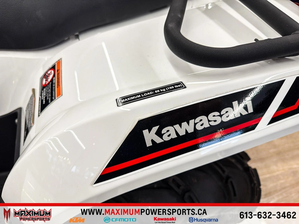 Kawasaki Brute Force 450 2025 alt