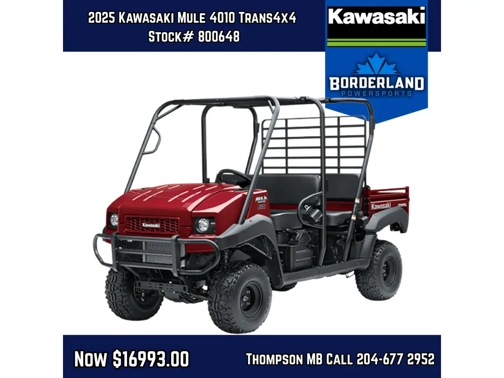 2025 Kawasaki Mule 4010 Trans4x4