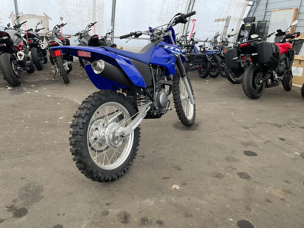 2025 Yamaha Tt-r 230 alt