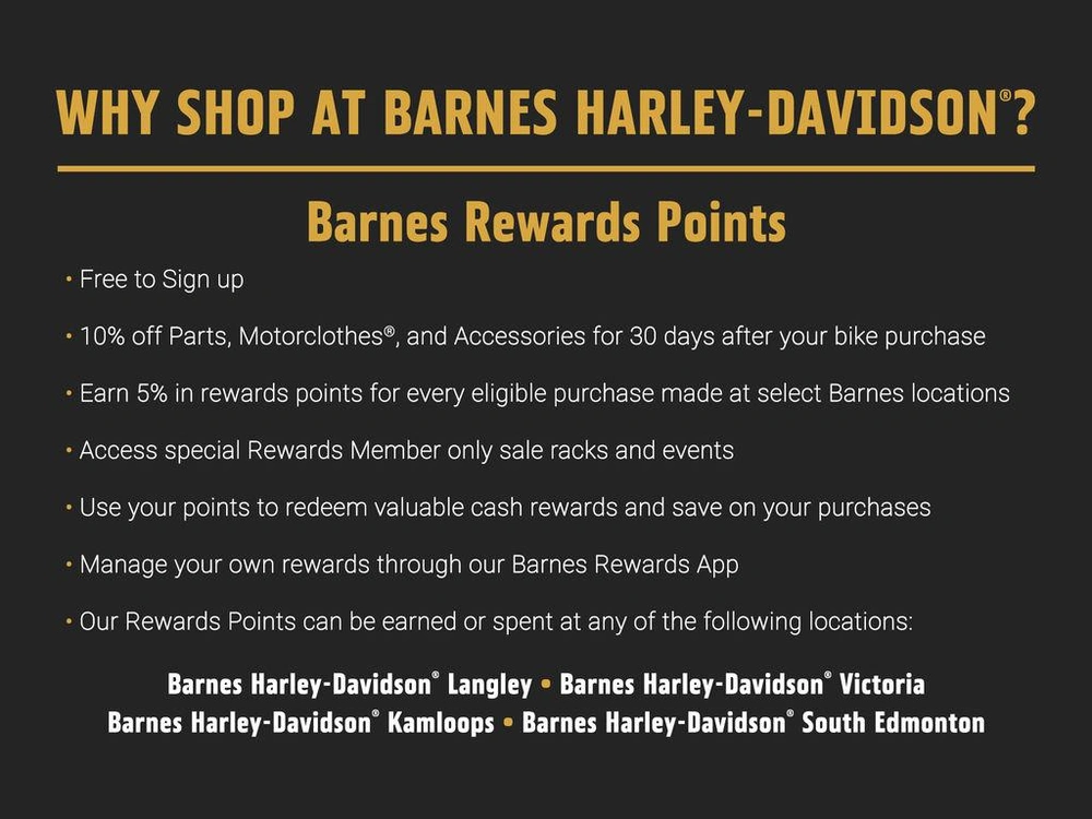 2025 Harley-davidson Fxbb - Street Bob® alt