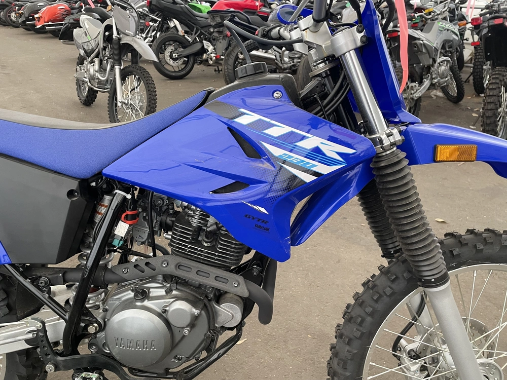 2025 Yamaha Tt-r 230 alt