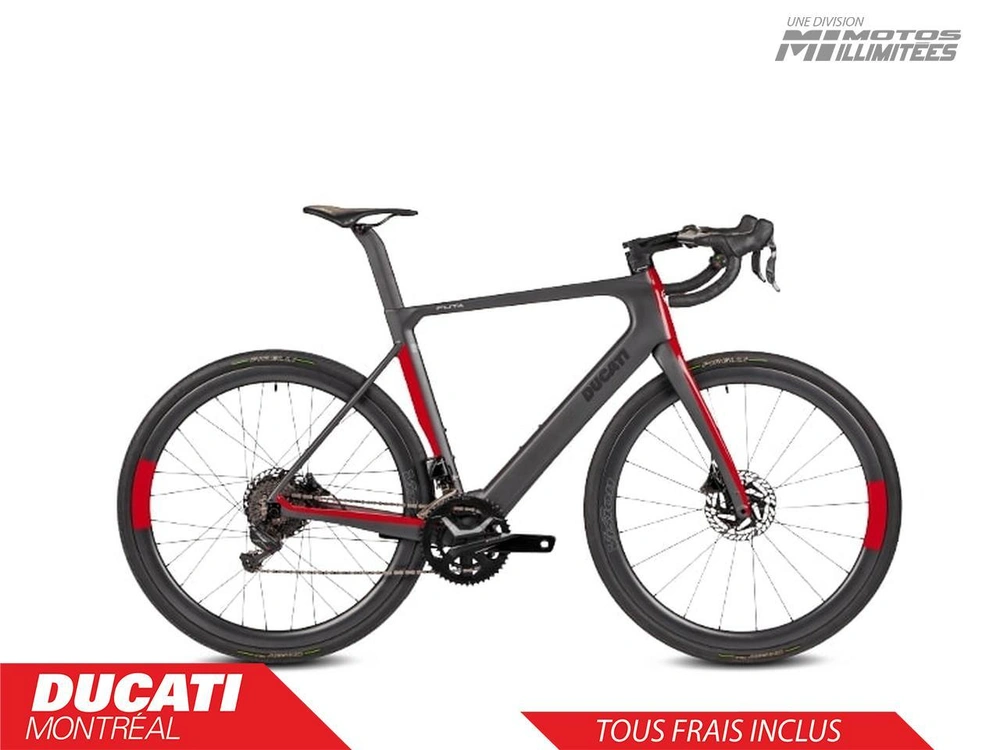 Ducati Futa Large 2023 alt