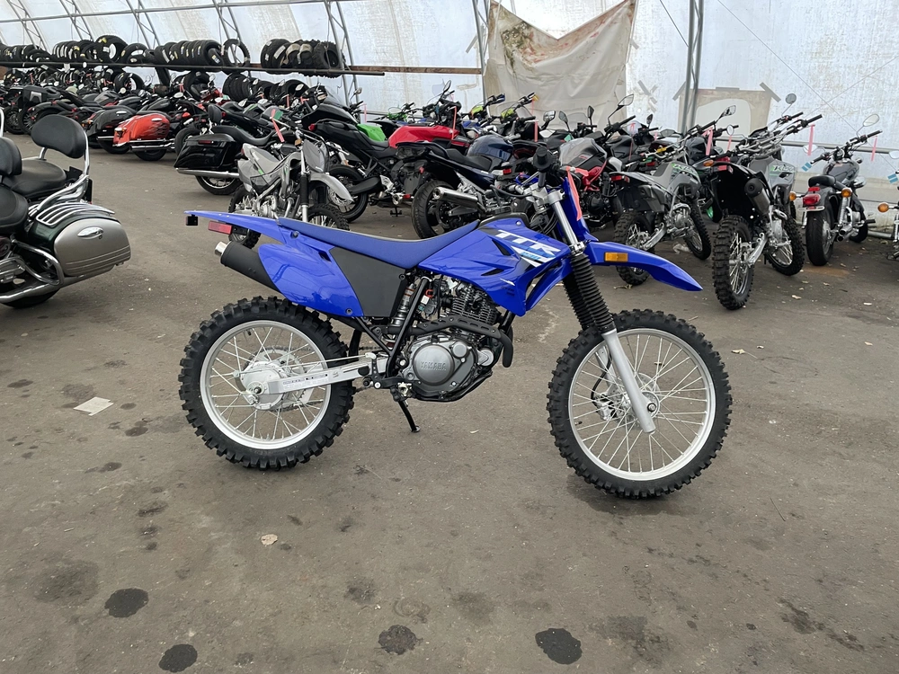 2025 Yamaha Tt-r 230 alt