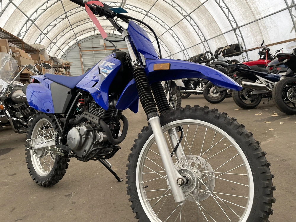 2025 Yamaha Tt-r 230 alt