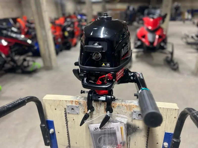 2024 Mercury 2.5 Hp alt