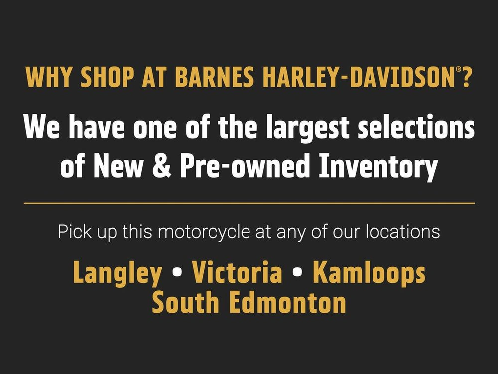 2025 Harley-davidson Flhx - Street Glide® alt