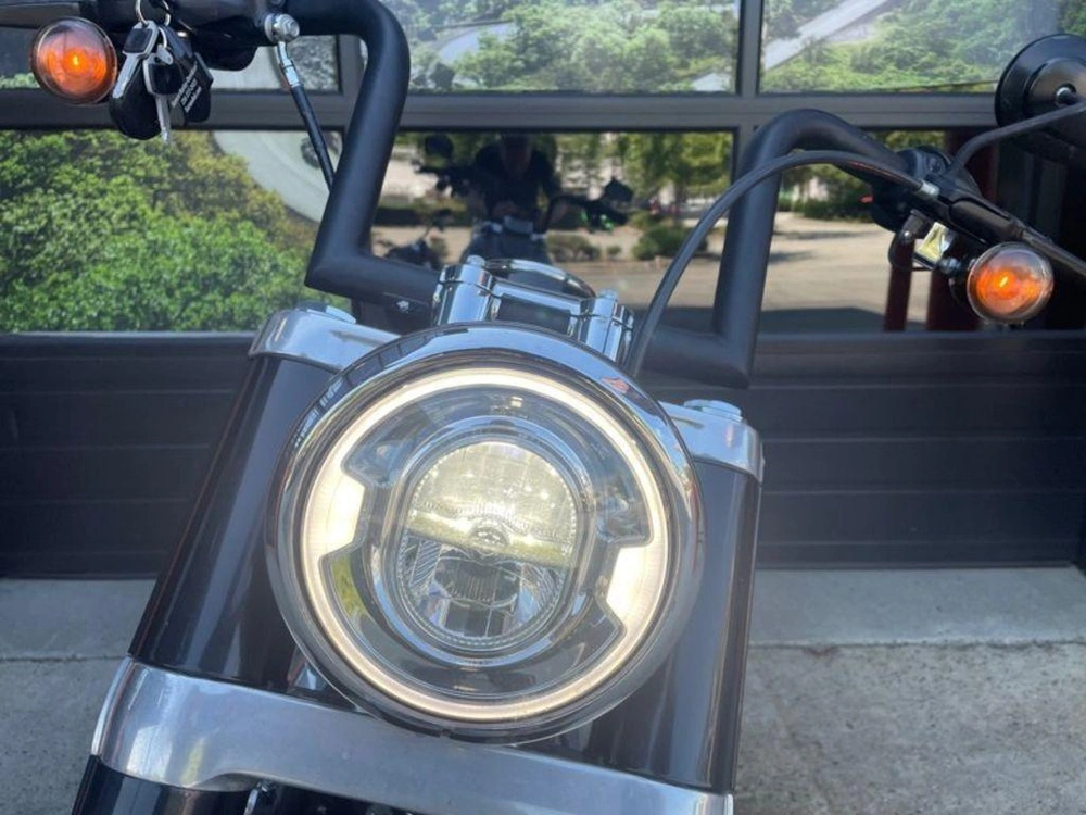 2021 Harley-davidson Flsl - Softail Slim™ alt