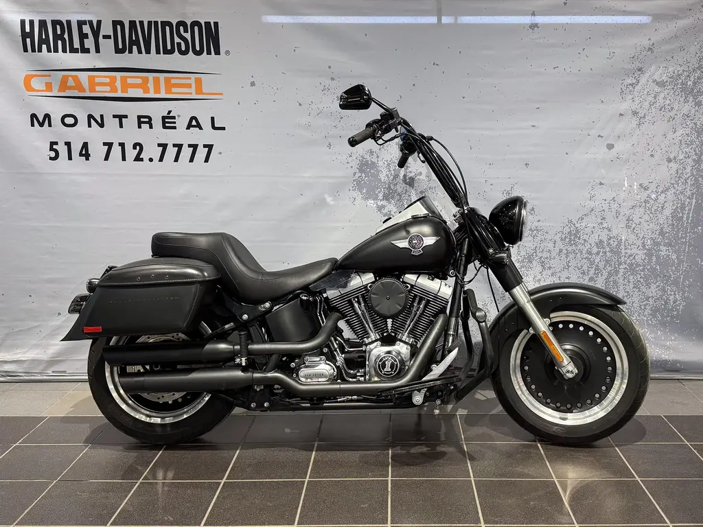 Harley-Davidson Fat Boy Lo 2010 - FLSTFB
