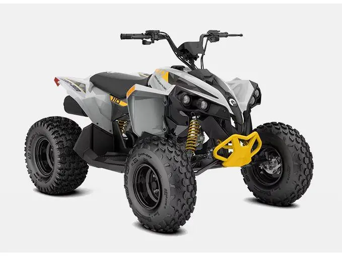2026 Can-Am Renegade 110