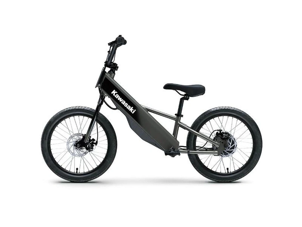 Kawasaki Elektrode 20fs 2025 alt