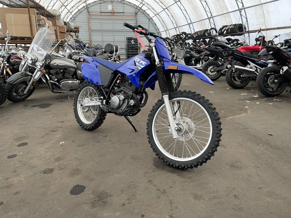 2025 Yamaha Tt-r 230 alt