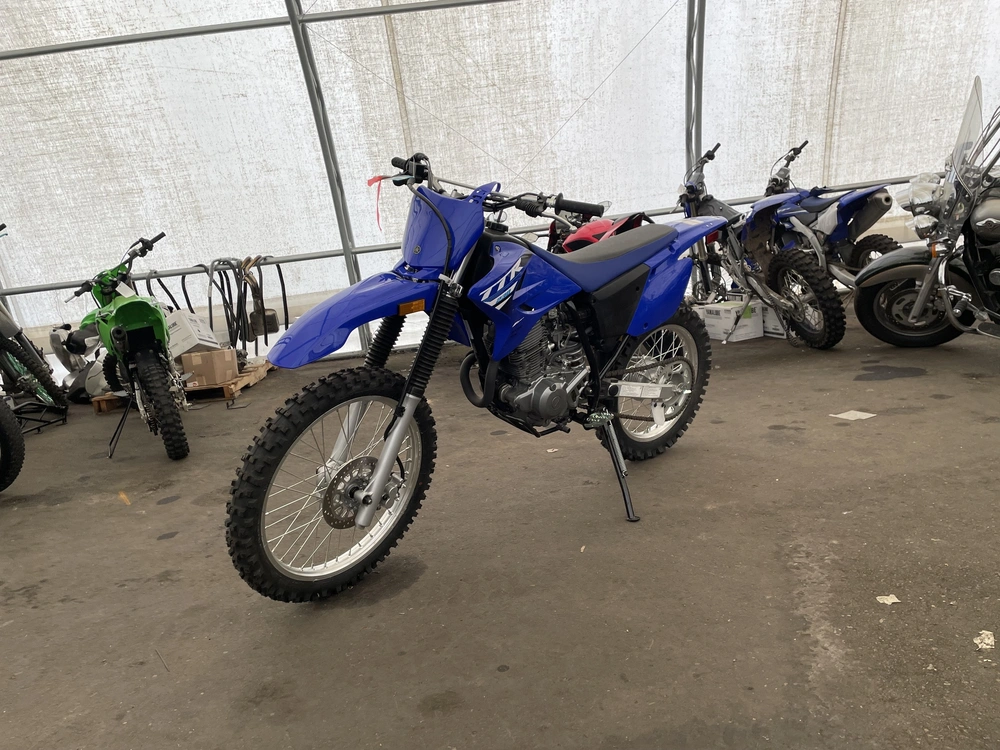 2025 Yamaha Tt-r 230 alt