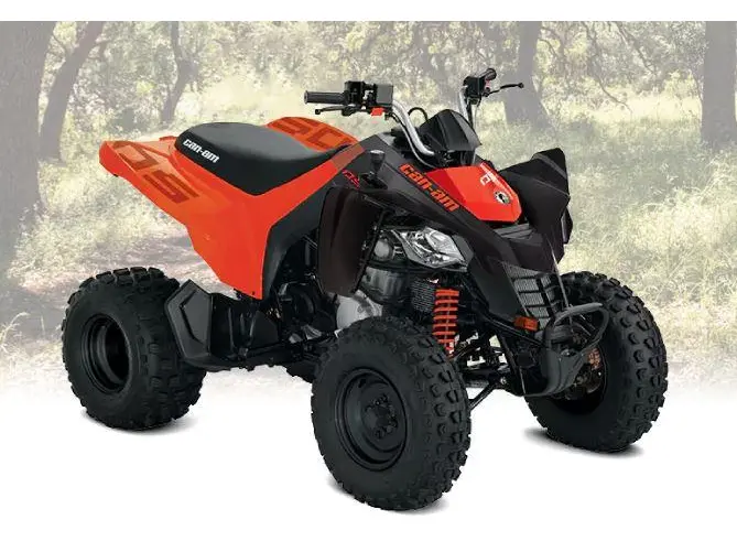 2026 Can-Am DS 250