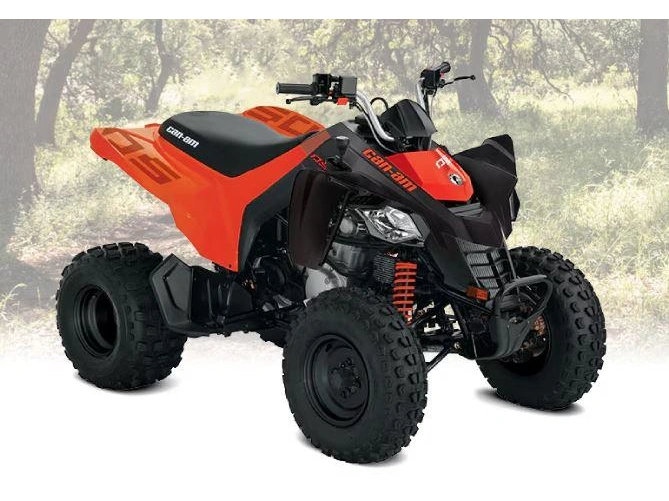 2026 Can-am Ds 250 alt