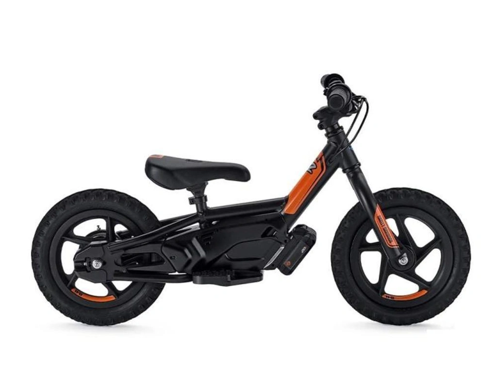 2023 Stacyc H-d Irone 12 alt