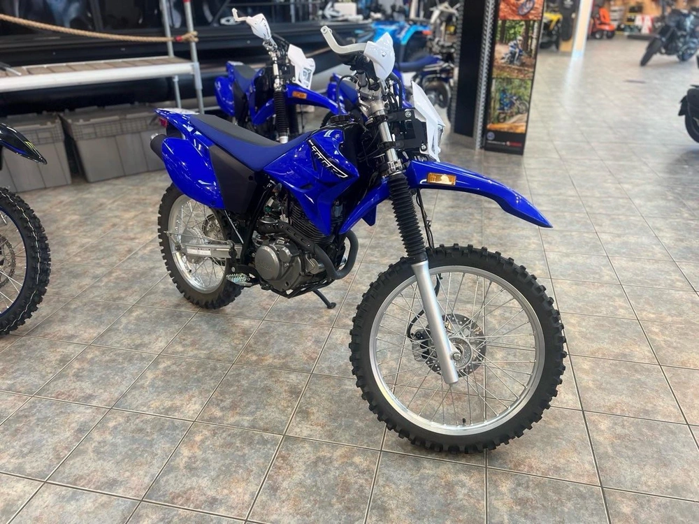 2023 Yamaha Ttr 230 alt