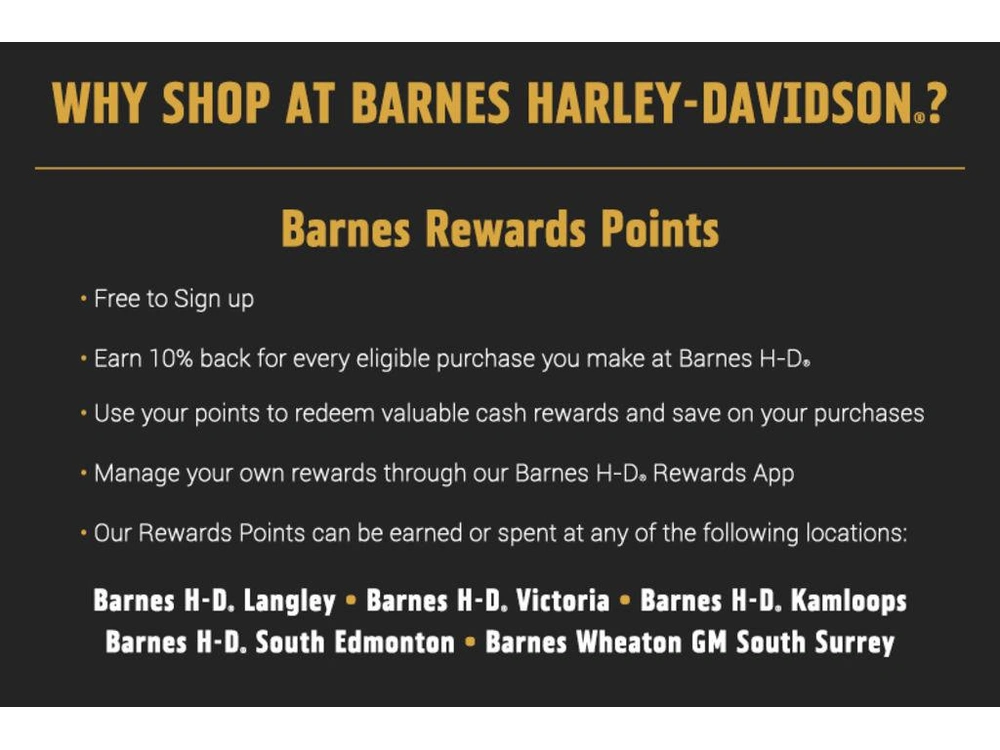 2023 Harley-davidson Rh975s - Nightster™ Special alt