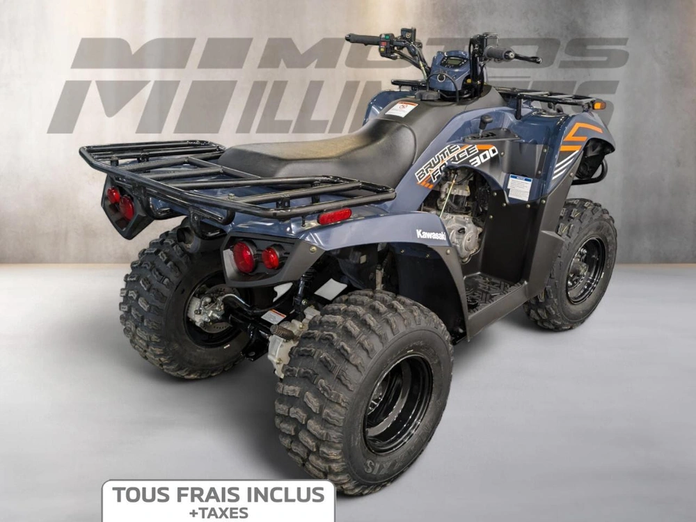 Kawasaki Brute Force 300 2024 alt