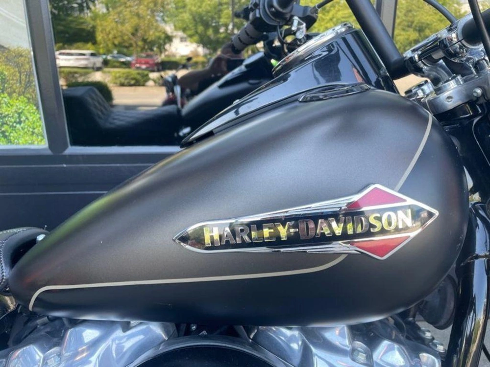 2021 Harley-davidson Flsl - Softail Slim™ alt