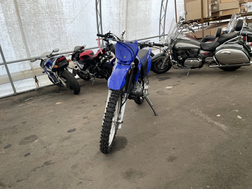 2025 Yamaha Tt-r 230 alt