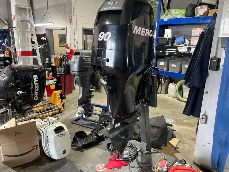 Mercury 90 Elpt 2007 alt