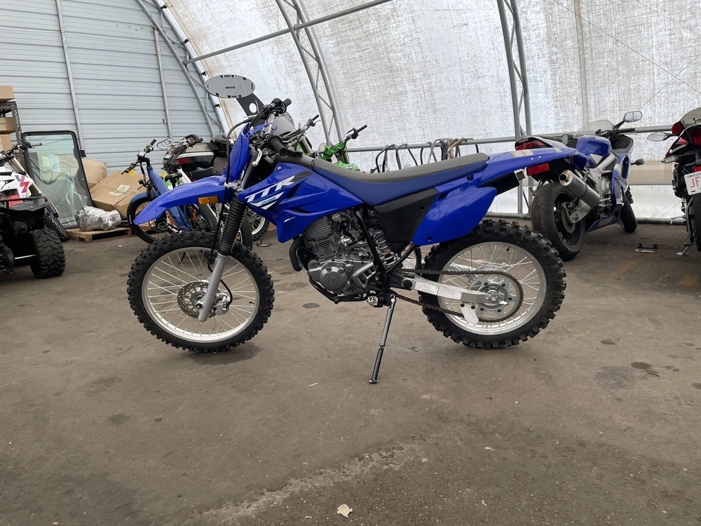 2025 Yamaha Tt-r 230 alt