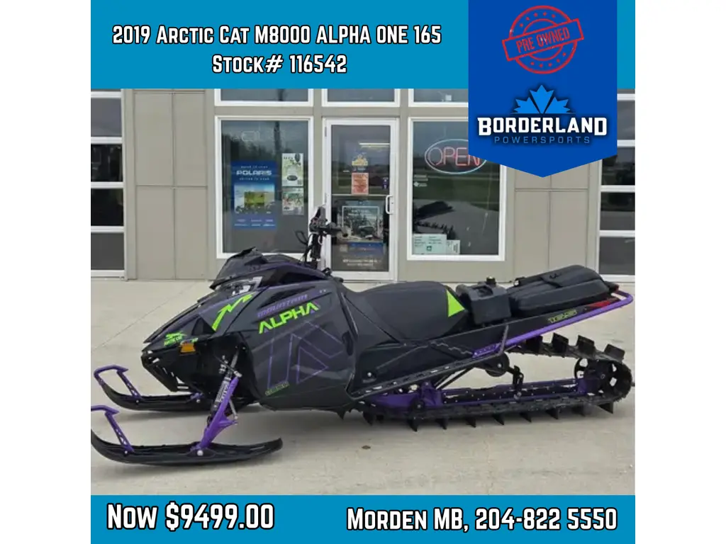 2019 Arctic Cat M8000 ALPHA ONE 165