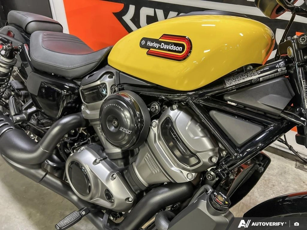 2023 Harley-davidson Rh975s - Nightster™ Special alt