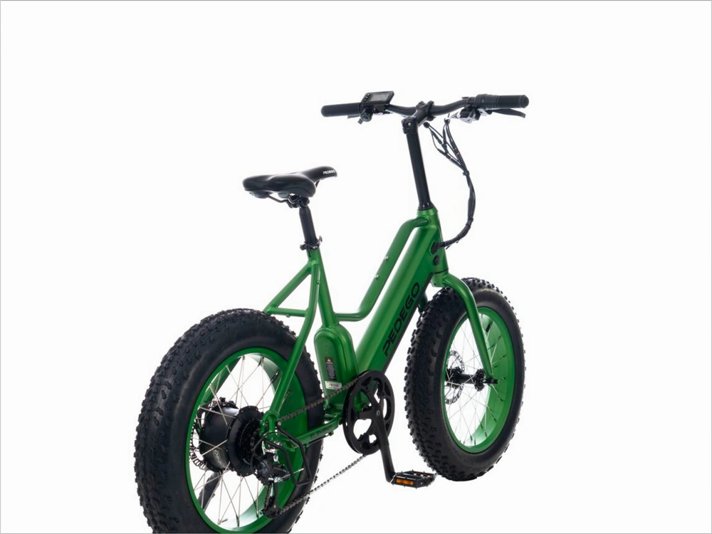 2021 Pedego Element 48v 10ah alt