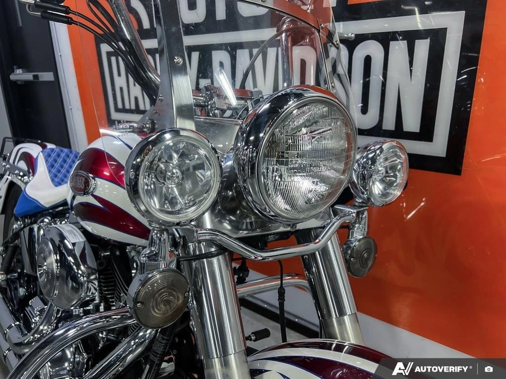 2004 Harley-davidson Flstci Heritage Classic alt