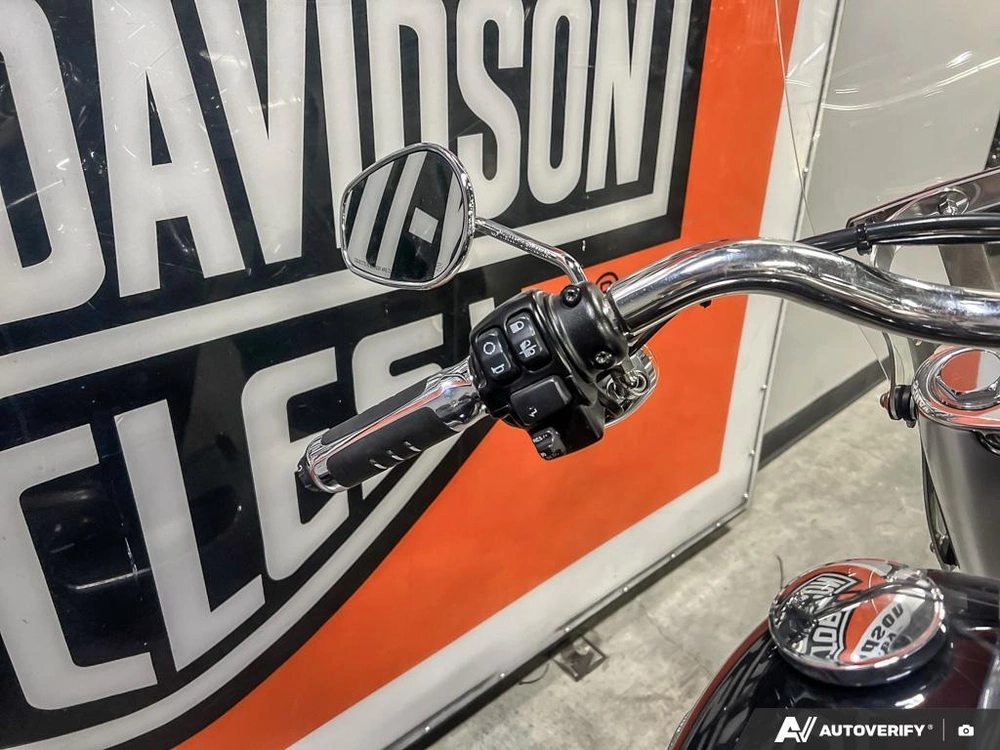 2019 Harley-davidson Flfbs - Fat Boy® 114 alt