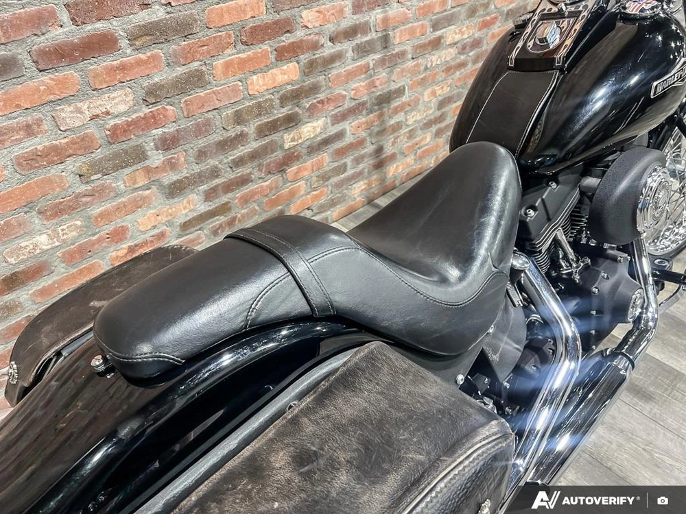 2006 Harley-davidson Fxstb Night Train alt